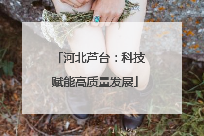 河北芦台：科技赋能高质量发展