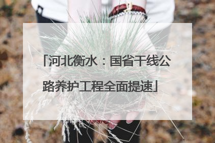 河北衡水：国省干线公路养护工程全面提速
