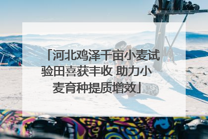 河北鸡泽千亩小麦试验田喜获丰收 助力小麦育种提质增效