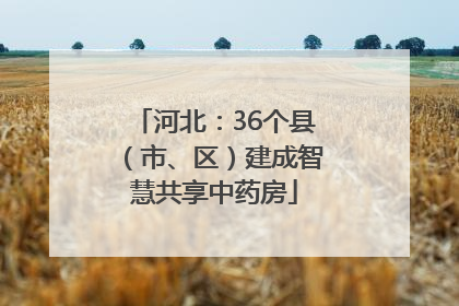 河北：36个县（市、区）建成智慧共享中药房