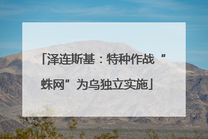 泽连斯基：特种作战“蛛网”为乌独立实施