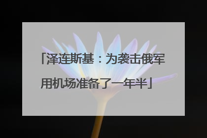 泽连斯基：为袭击俄军用机场准备了一年半