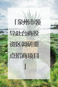 泉州市领导赴台商投资区调研重点招商项目