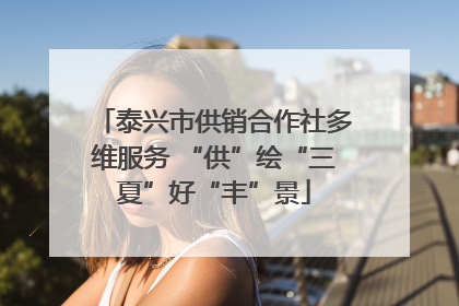 泰兴市供销合作社多维服务 “供”绘“三夏”好“丰”景