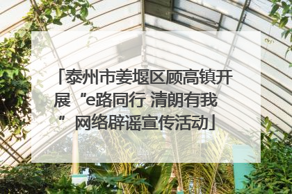泰州市姜堰区顾高镇开展“e路同行 清朗有我”网络辟谣宣传活动