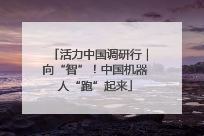 活力中国调研行｜向“智”！中国机器人“跑”起来