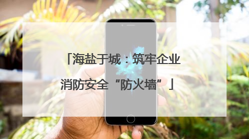 海盐于城：筑牢企业消防安全“防火墙”