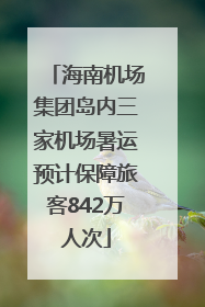 海南机场集团岛内三家机场暑运预计保障旅客842万人次