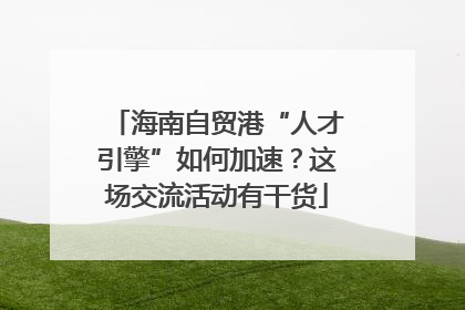 海南自贸港“人才引擎”如何加速？这场交流活动有干货