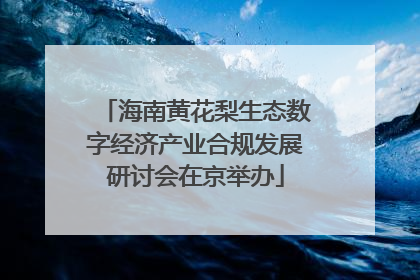 海南黄花梨生态数字经济产业合规发展研讨会在京举办