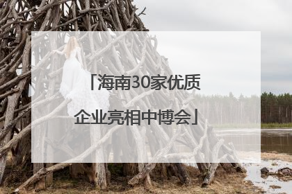 海南30家优质企业亮相中博会