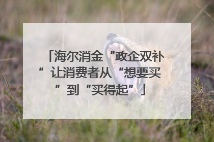 海尔消金“政企双补”让消费者从“想要买”到“买得起”
