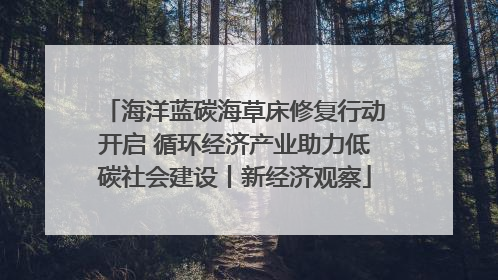 海洋蓝碳海草床修复行动开启 循环经济产业助力低碳社会建设丨新经济观察