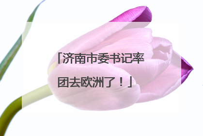 济南市委书记率团去欧洲了！