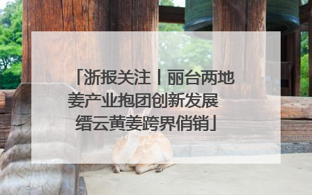 浙报关注丨丽台两地姜产业抱团创新发展 缙云黄姜跨界俏销