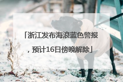 浙江发布海浪蓝色警报，预计16日傍晚解除