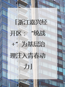 浙江嘉兴经开区：“统战+”为基层治理注入青春动力