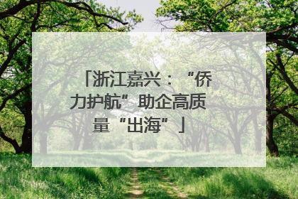 浙江嘉兴：“侨力护航”助企高质量“出海”