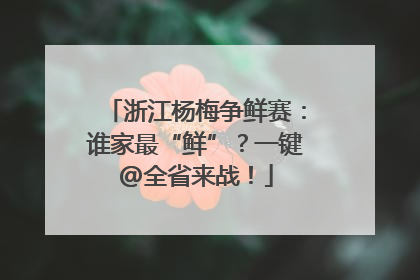 浙江杨梅争鲜赛：谁家最“鲜”？一键@全省来战！