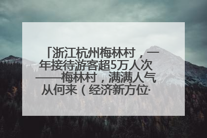 浙江杭州梅林村，一年接待游客超5万人次——梅林村，满满人气从何来（经济新方位·农村消费观察）