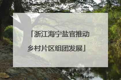 浙江海宁盐官推动乡村片区组团发展