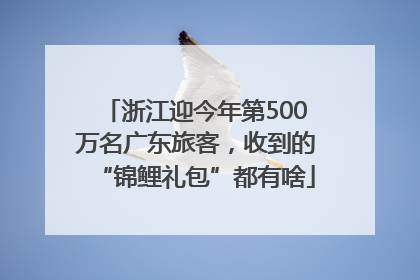 浙江迎今年第500万名广东旅客，收到的“锦鲤礼包”都有啥