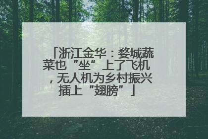 浙江金华：婺城蔬菜也“坐”上了飞机，无人机为乡村振兴插上“翅膀”