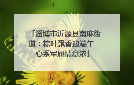 淄博市沂源县南麻街道：粽叶飘香迎端午 心系军属情意浓