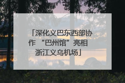 深化义巴东西部协作 “巴州馆”亮相浙江义乌机场