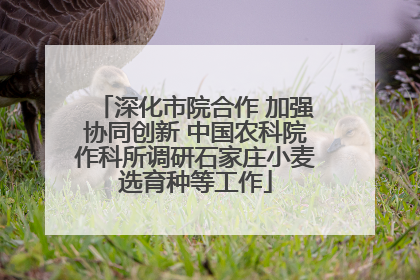 深化市院合作 加强协同创新 中国农科院作科所调研石家庄小麦选育种等工作