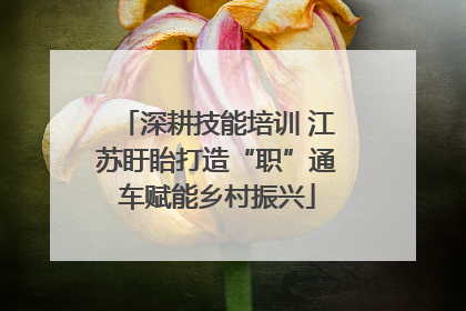 深耕技能培训 江苏盱眙打造“职”通车赋能乡村振兴