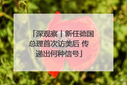 深观察丨新任德国总理首次访美后 传递出何种信号