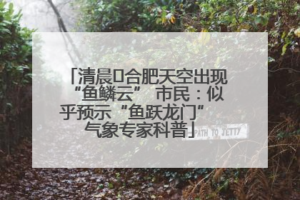 清晨﻿合肥天空出现“鱼鳞云” 市民：似乎预示“鱼跃龙门” 气象专家科普