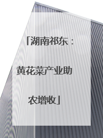 湖南祁东：黄花菜产业助农增收