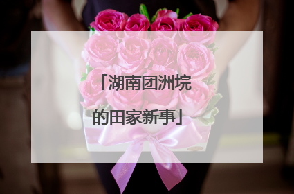 湖南团洲垸的田家新事