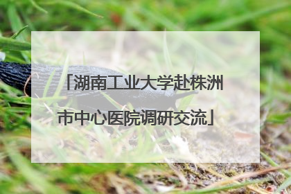 湖南工业大学赴株洲市中心医院调研交流