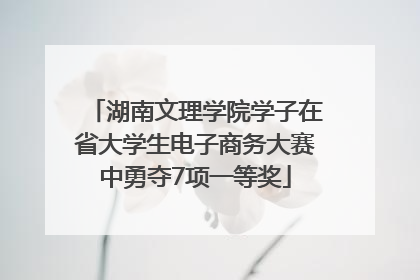 湖南文理学院学子在省大学生电子商务大赛中勇夺7项一等奖
