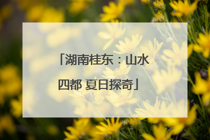 湖南桂东：山水四都 夏日探奇