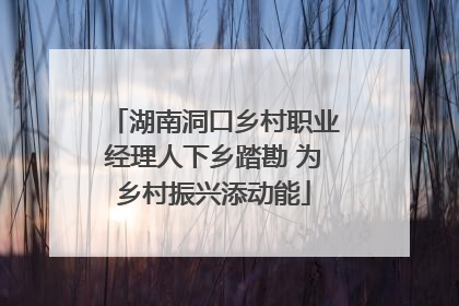 湖南洞口乡村职业经理人下乡踏勘 为乡村振兴添动能