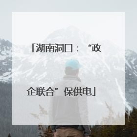 湖南洞口：“政企联合”保供电