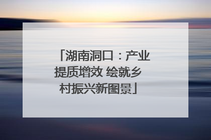 湖南洞口：产业提质增效 绘就乡村振兴新图景