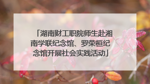 湖南财工职院师生赴湘南学联纪念馆、罗荣桓纪念馆开展社会实践活动