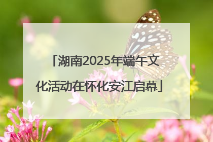湖南2025年端午文化活动在怀化安江启幕