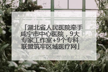 湖北省人民医院牵手咸宁市中心医院，9大专家工作室+9个专科联盟筑牢区域医疗网