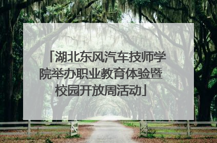 湖北东风汽车技师学院举办职业教育体验暨校园开放周活动