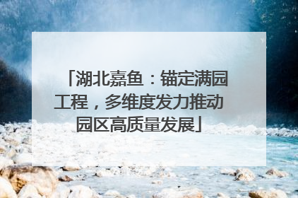 湖北嘉鱼：锚定满园工程，多维度发力推动园区高质量发展