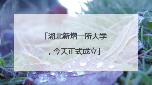 湖北新增一所大学，今天正式成立