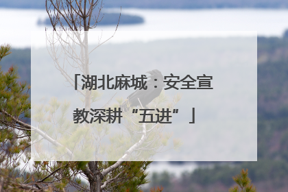 湖北麻城：安全宣教深耕“五进”