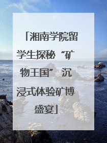 湘南学院留学生探秘“矿物王国” 沉浸式体验矿博盛宴
