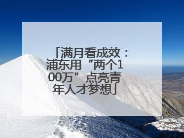 满月看成效：浦东用“两个100万”点亮青年人才梦想